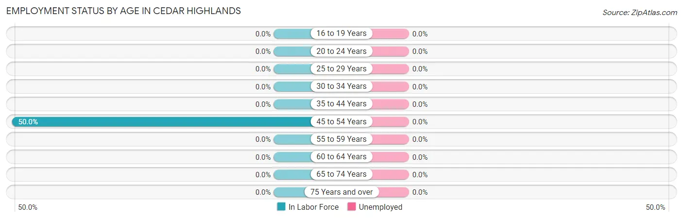 Employment Status by Age in Cedar Highlands