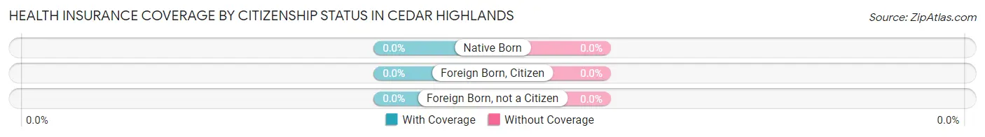 Health Insurance Coverage by Citizenship Status in Cedar Highlands