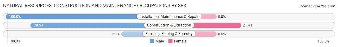 Natural Resources, Construction and Maintenance Occupations by Sex in Charleston