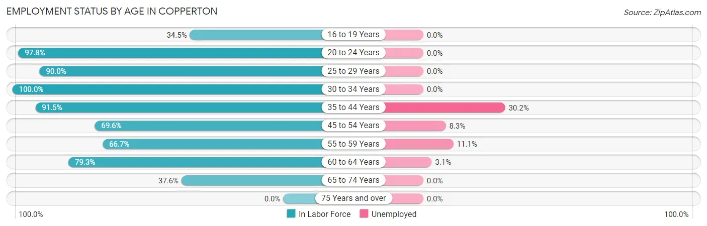Employment Status by Age in Copperton