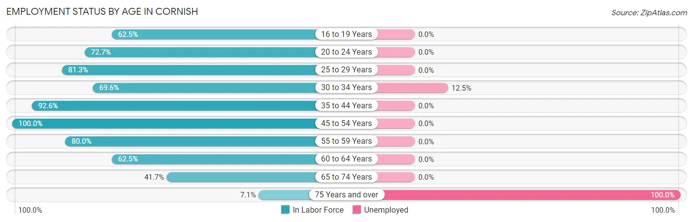 Employment Status by Age in Cornish