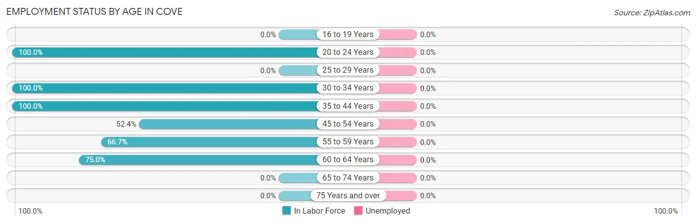 Employment Status by Age in Cove