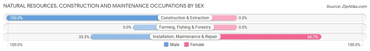 Natural Resources, Construction and Maintenance Occupations by Sex in East Basin