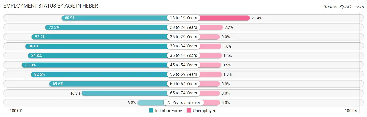 Employment Status by Age in Heber