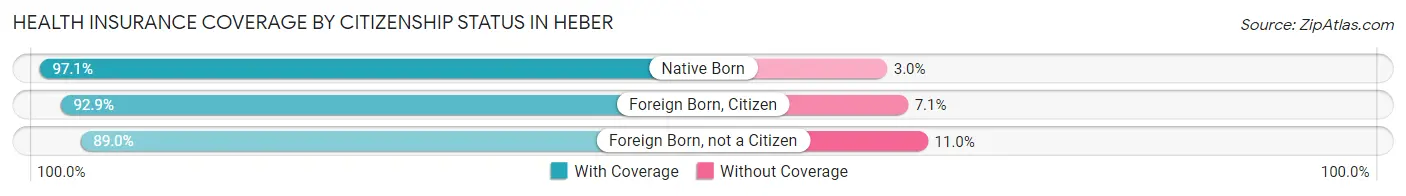 Health Insurance Coverage by Citizenship Status in Heber