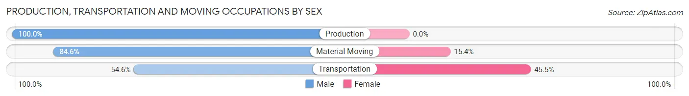 Production, Transportation and Moving Occupations by Sex in Hideout