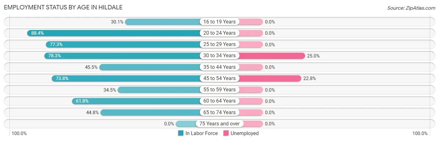 Employment Status by Age in Hildale