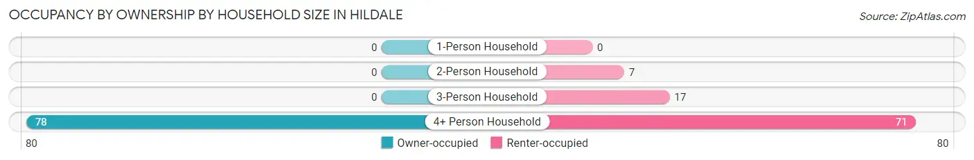 Occupancy by Ownership by Household Size in Hildale