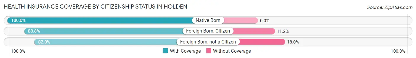 Health Insurance Coverage by Citizenship Status in Holden