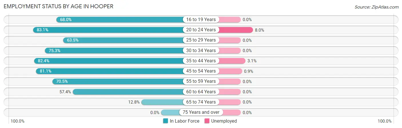 Employment Status by Age in Hooper