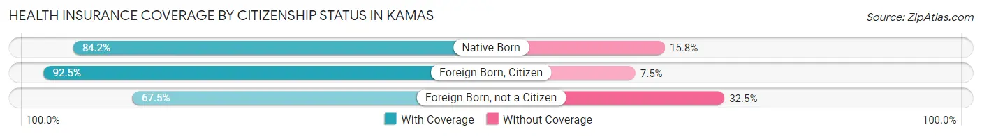 Health Insurance Coverage by Citizenship Status in Kamas