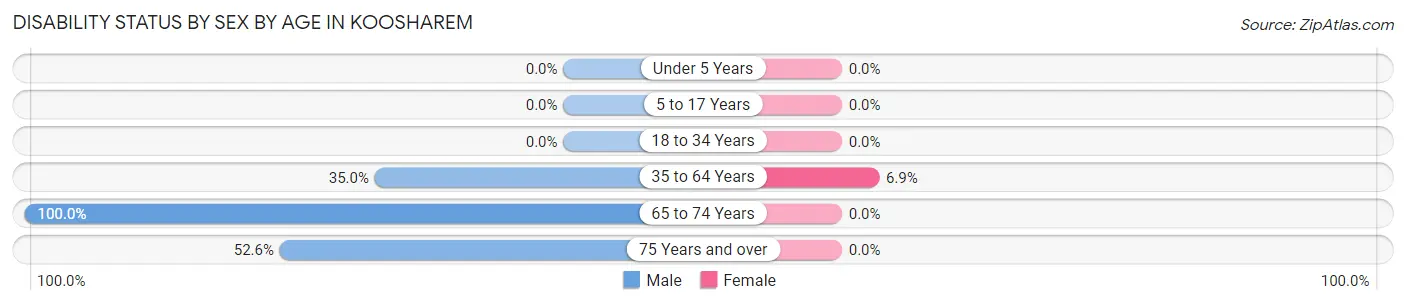 Disability Status by Sex by Age in Koosharem