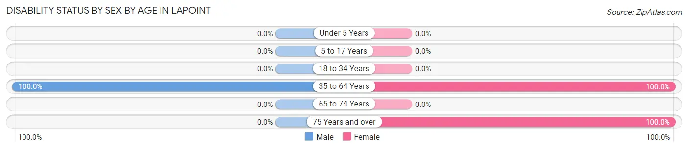 Disability Status by Sex by Age in Lapoint