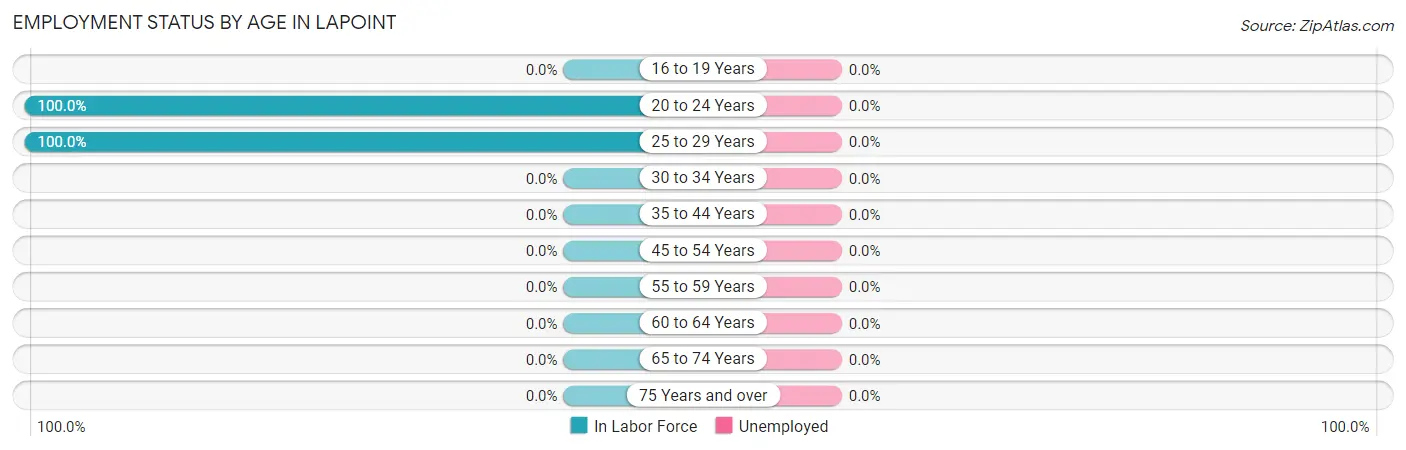 Employment Status by Age in Lapoint