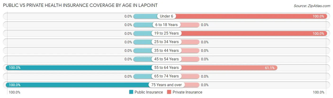 Public vs Private Health Insurance Coverage by Age in Lapoint