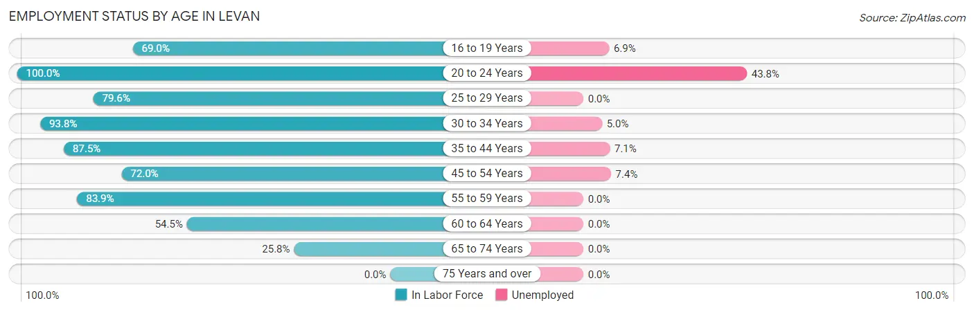 Employment Status by Age in Levan