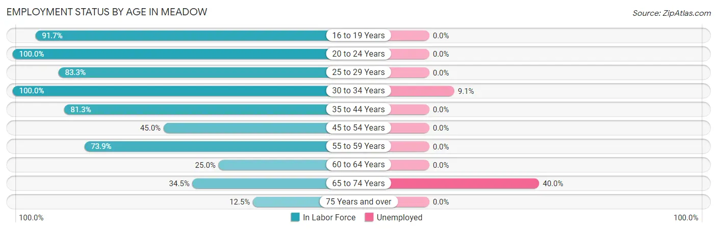 Employment Status by Age in Meadow