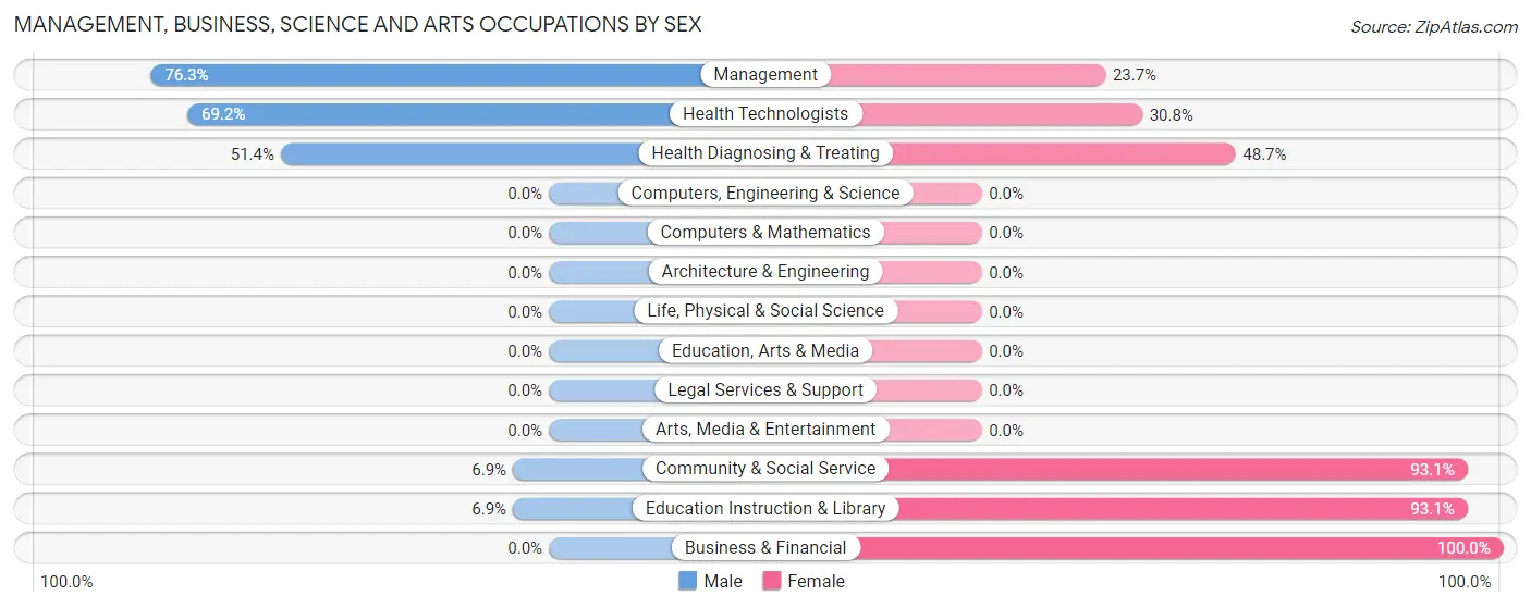 Management, Business, Science and Arts Occupations by Sex in Minersville