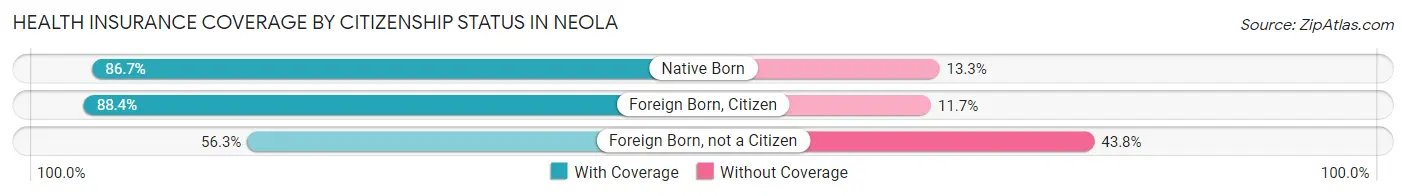 Health Insurance Coverage by Citizenship Status in Neola
