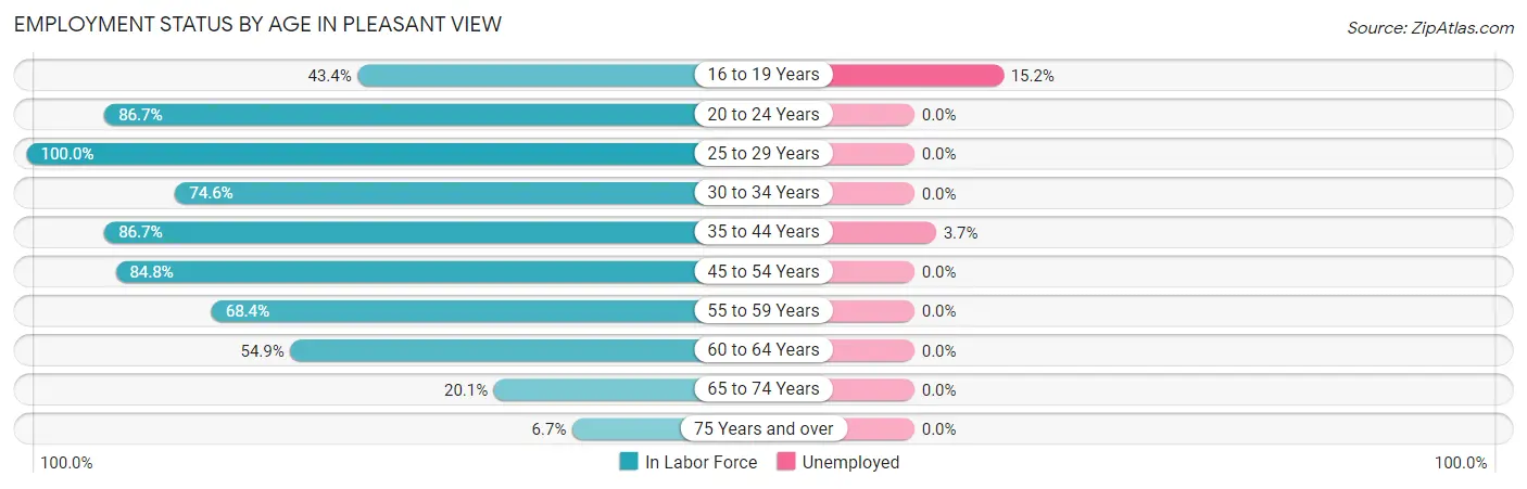 Employment Status by Age in Pleasant View