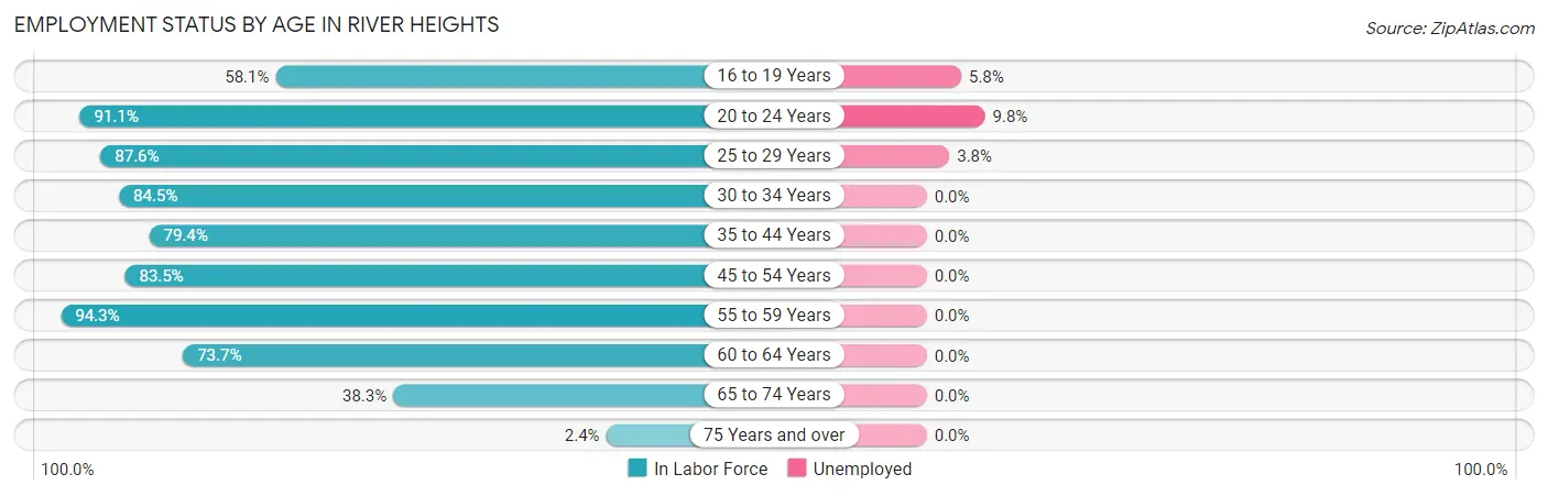 Employment Status by Age in River Heights