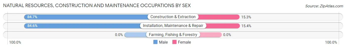 Natural Resources, Construction and Maintenance Occupations by Sex in River Heights