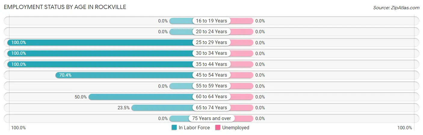 Employment Status by Age in Rockville