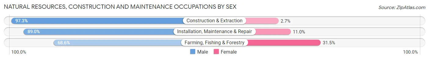 Natural Resources, Construction and Maintenance Occupations by Sex in Salt Lake City
