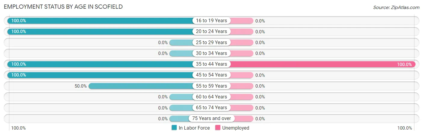 Employment Status by Age in Scofield
