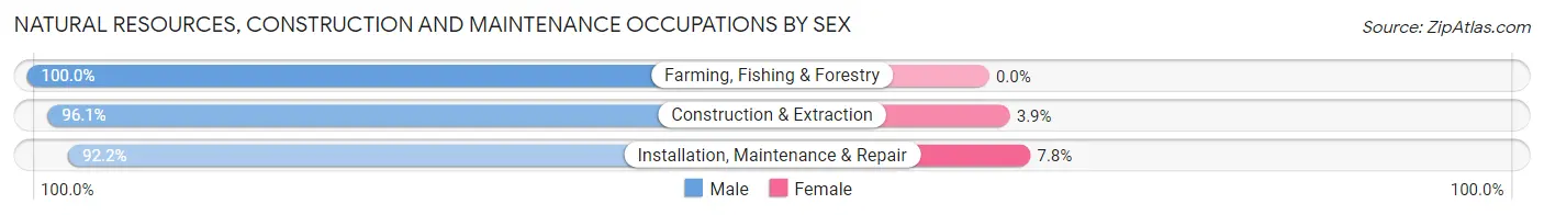 Natural Resources, Construction and Maintenance Occupations by Sex in Spanish Fork