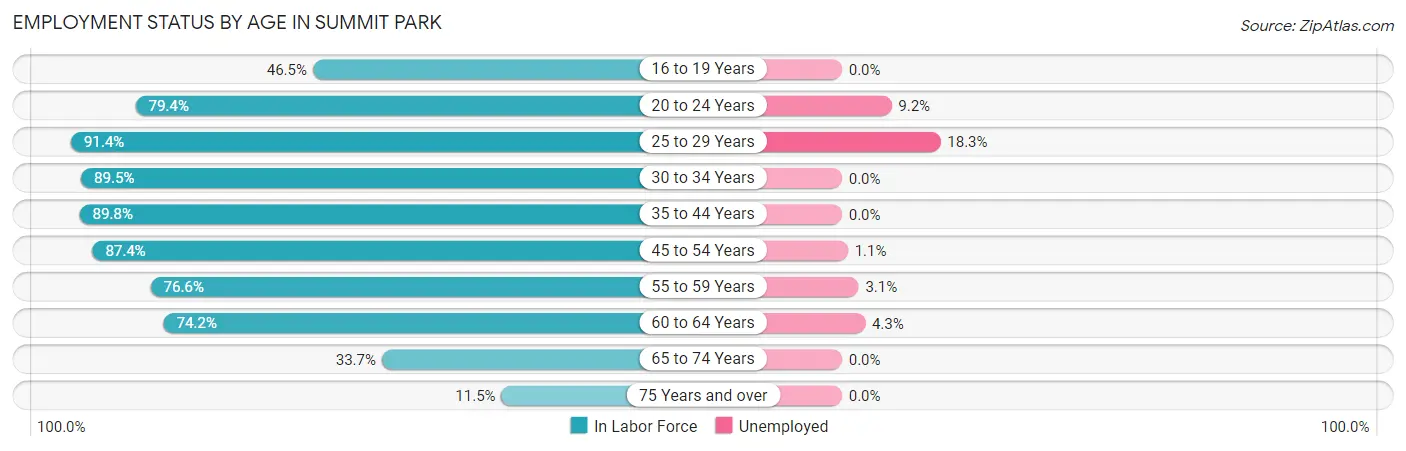 Employment Status by Age in Summit Park
