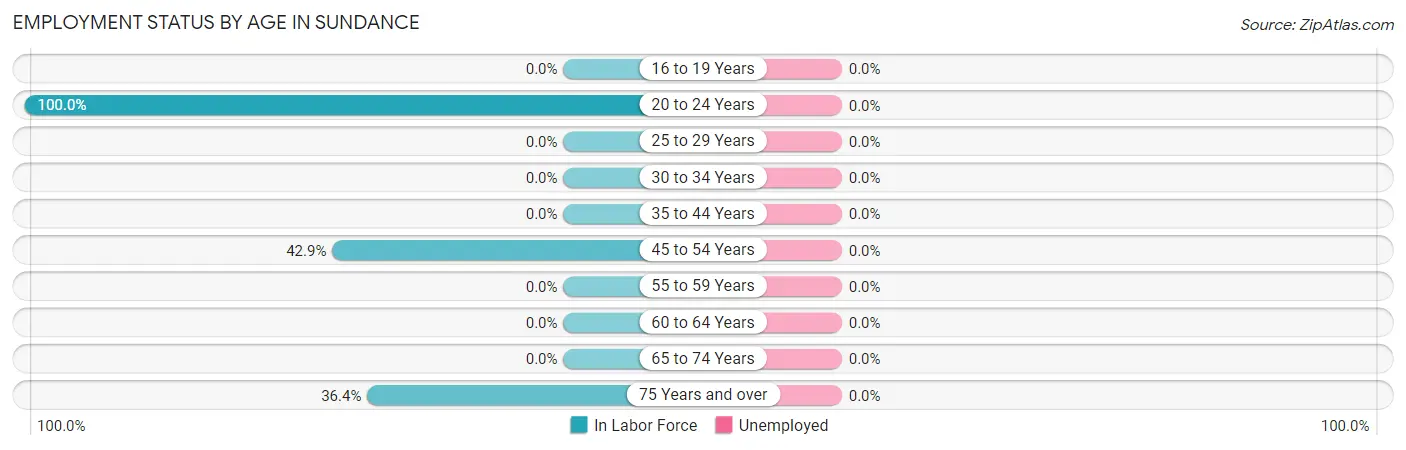 Employment Status by Age in Sundance