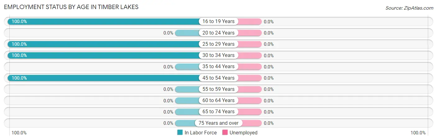 Employment Status by Age in Timber Lakes