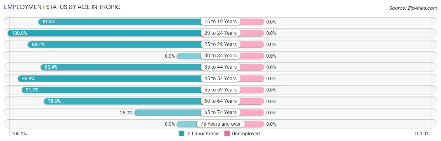 Employment Status by Age in Tropic