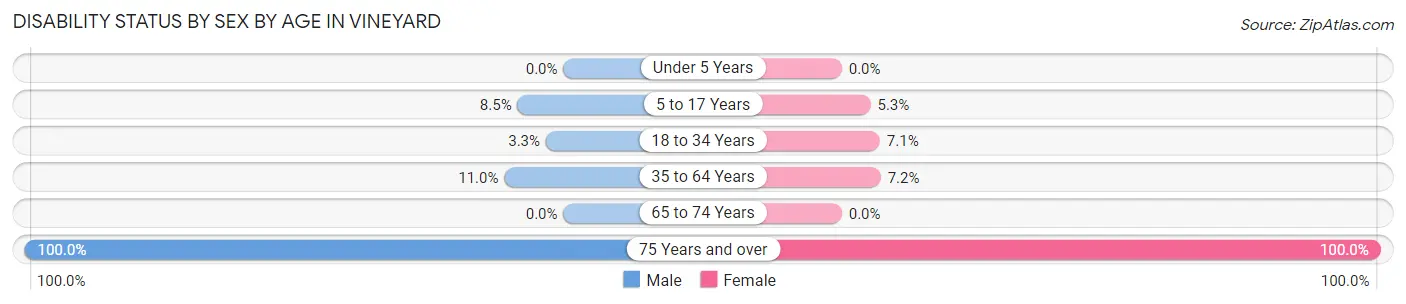Disability Status by Sex by Age in Vineyard
