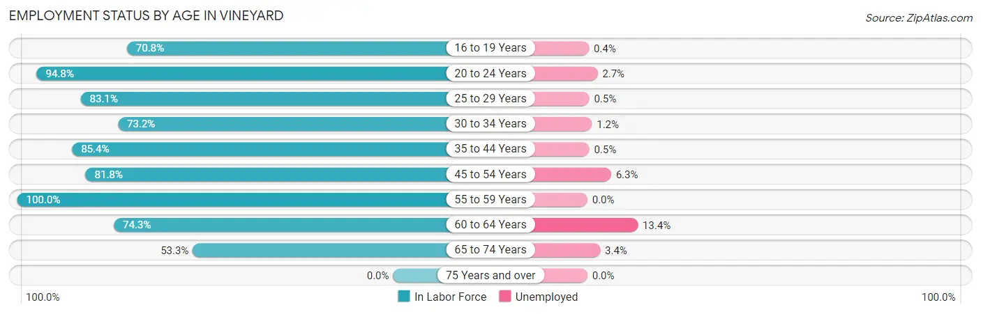 Employment Status by Age in Vineyard