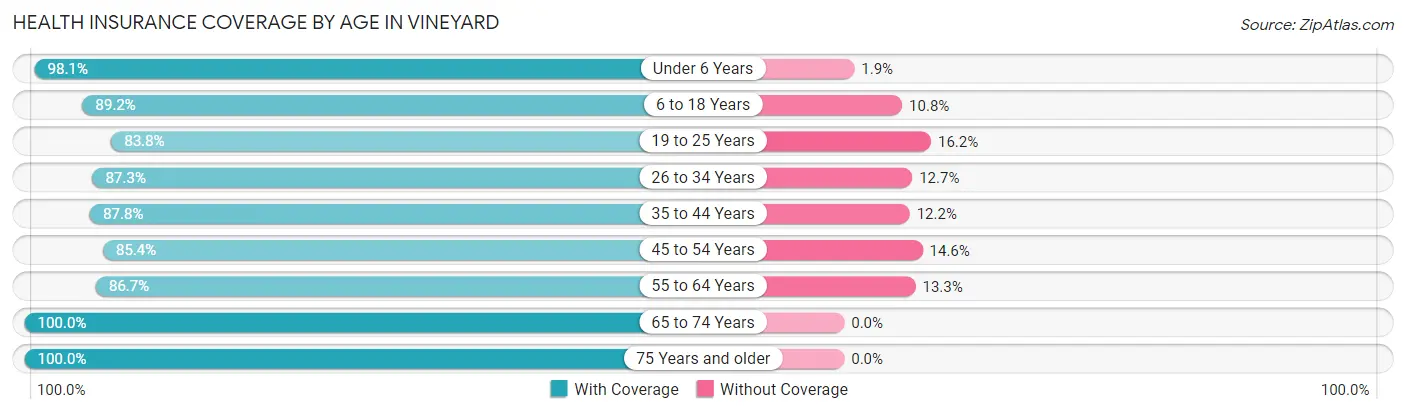 Health Insurance Coverage by Age in Vineyard