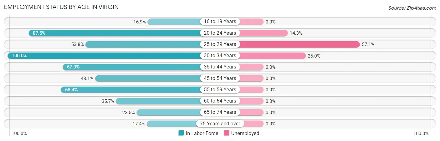 Employment Status by Age in Virgin