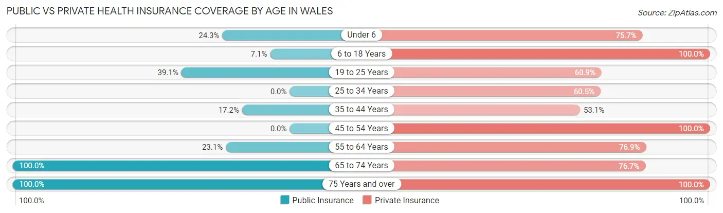 Public vs Private Health Insurance Coverage by Age in Wales