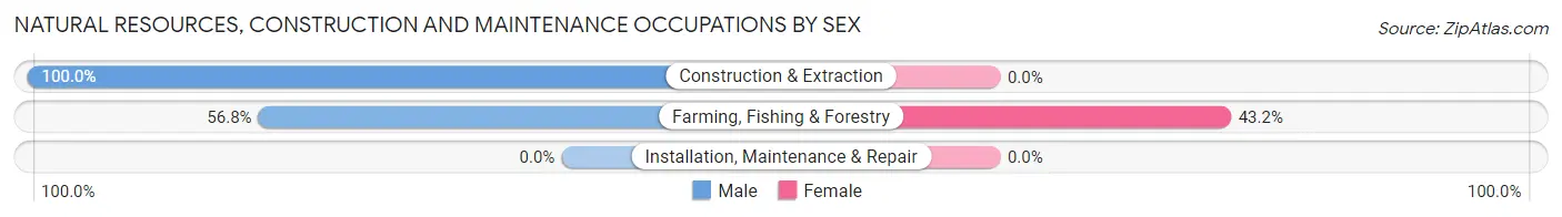 Natural Resources, Construction and Maintenance Occupations by Sex in West Mountain