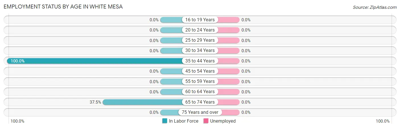 Employment Status by Age in White Mesa