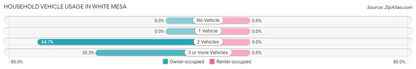 Household Vehicle Usage in White Mesa