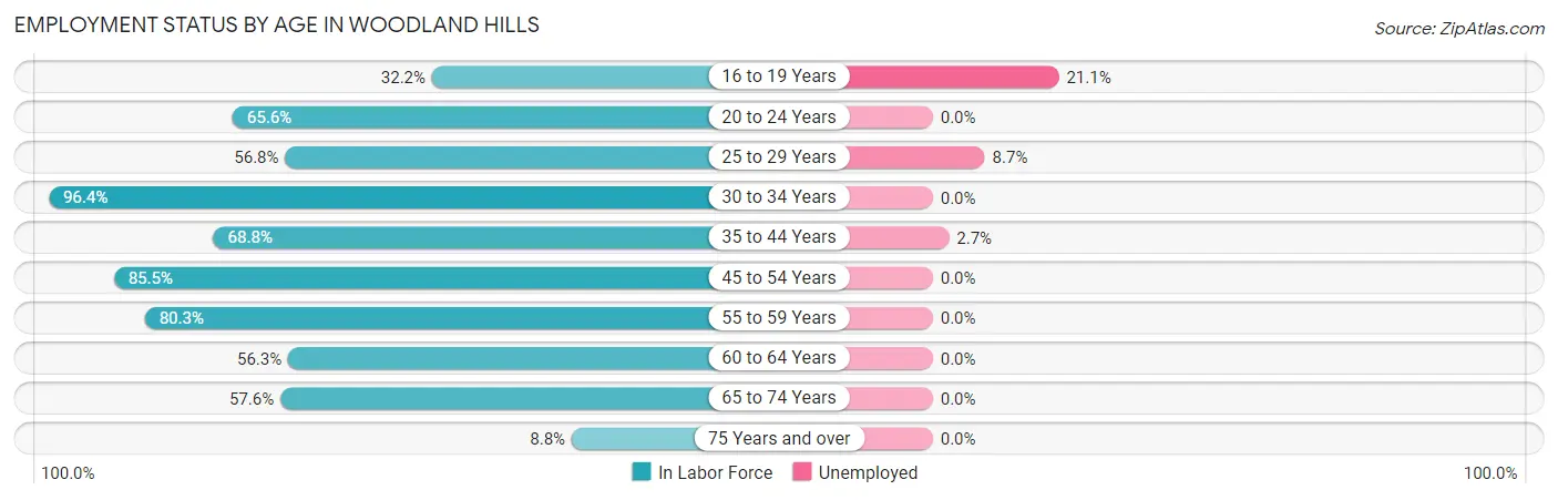 Employment Status by Age in Woodland Hills