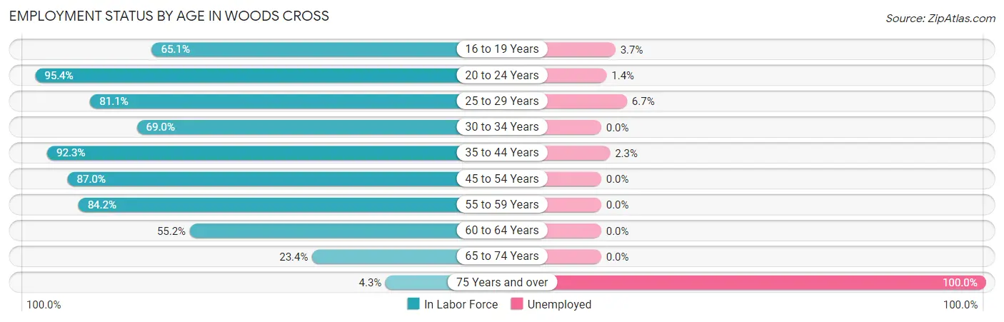 Employment Status by Age in Woods Cross
