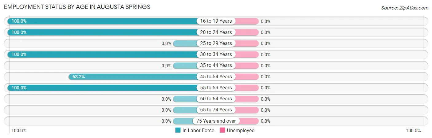 Employment Status by Age in Augusta Springs