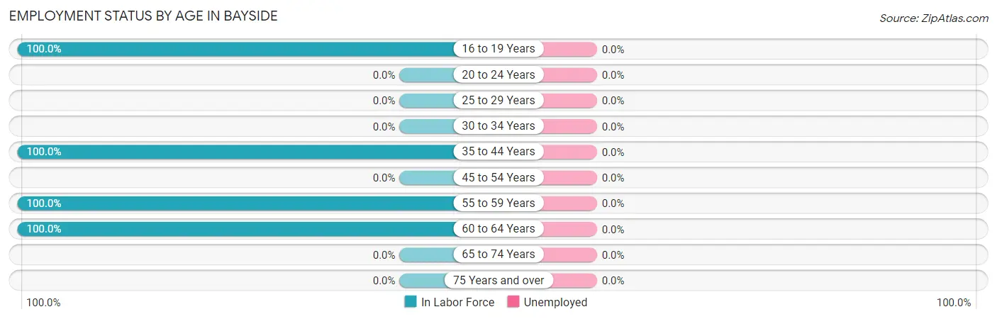 Employment Status by Age in Bayside