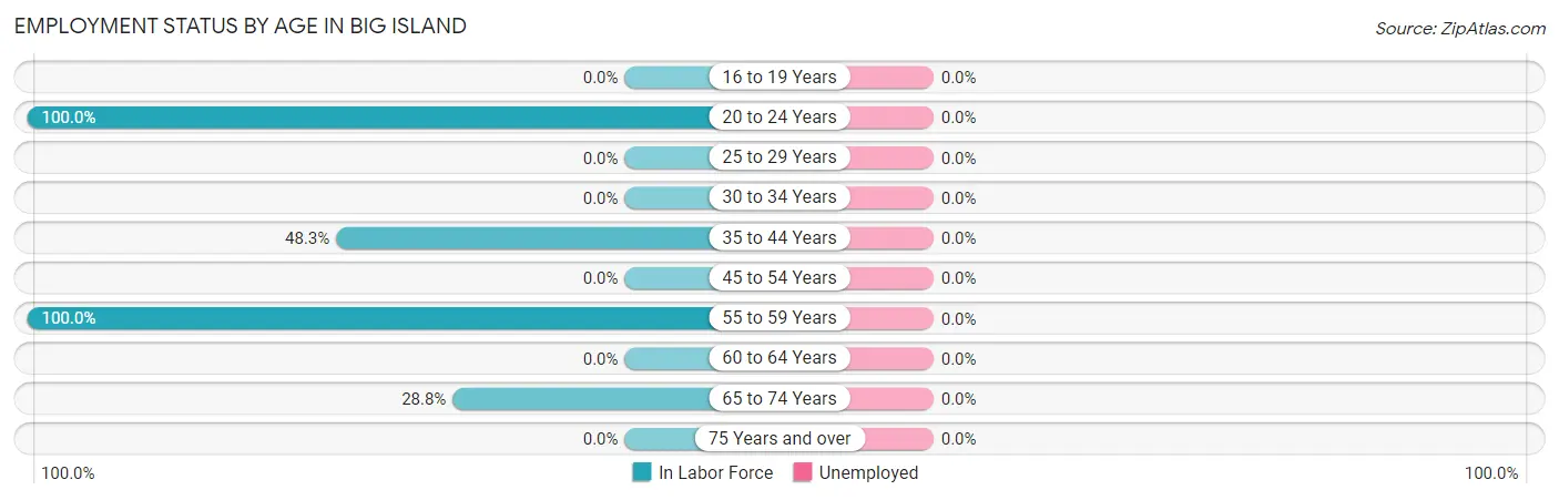 Employment Status by Age in Big Island
