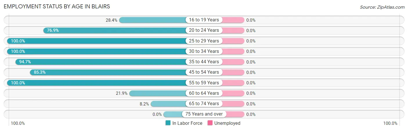 Employment Status by Age in Blairs