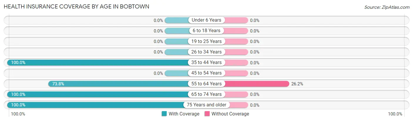 Health Insurance Coverage by Age in Bobtown