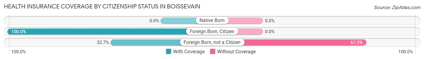 Health Insurance Coverage by Citizenship Status in Boissevain